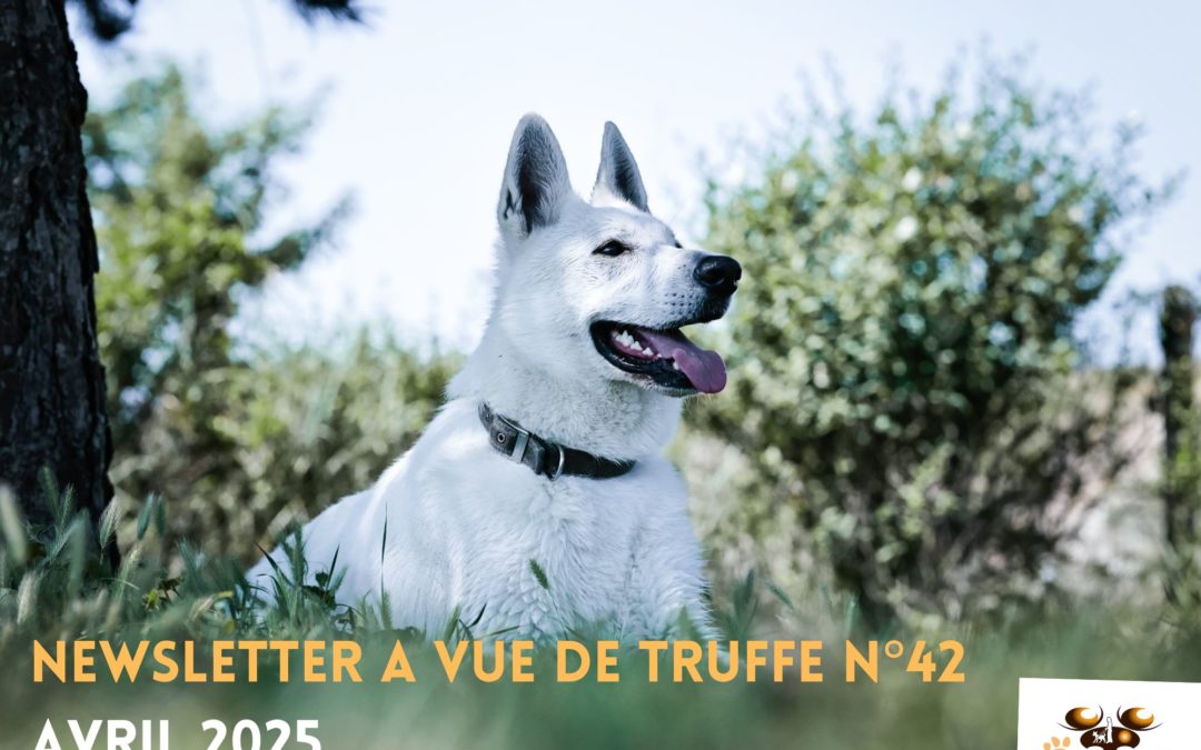 Newsletter n°42 – Avril 2025