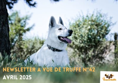 Newsletter n°42 – Avril 2025