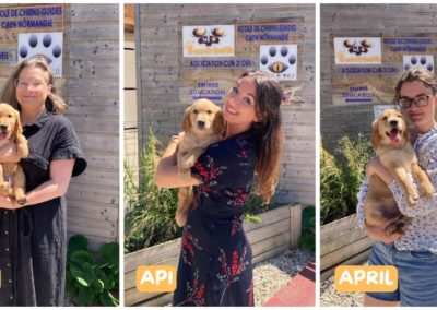 Azur, Api et April, les nouveaux chiots de l’école