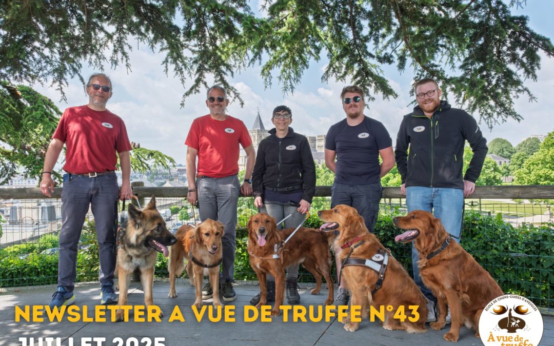 Newsletter n°43 – Juillet 2025
