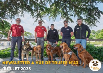 Newsletter n°43 – Juillet 2025