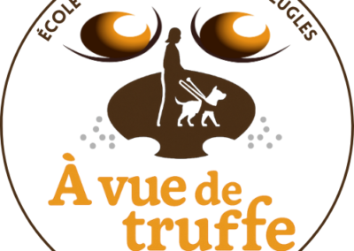 Sensibilisation – Projet Jeunes Ville d&rsquo;Ifs
