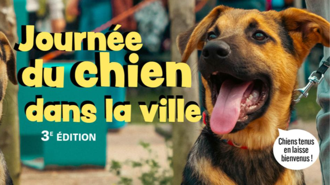Journée du Chien 3ème Edition – Hérouville Saint-Clair, 13/09/2025