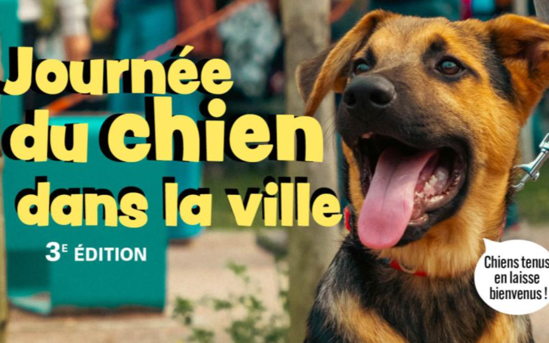 Journée du Chien 3ème Edition – Hérouville Saint-Clair, 13/09/2025