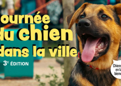 Journée du Chien 3ème Edition – Hérouville Saint-Clair, 13/09/2025