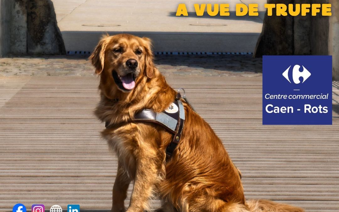 Stand de sensibilisation et d’information – Carrefour Rots, du 22 au 27 septembre