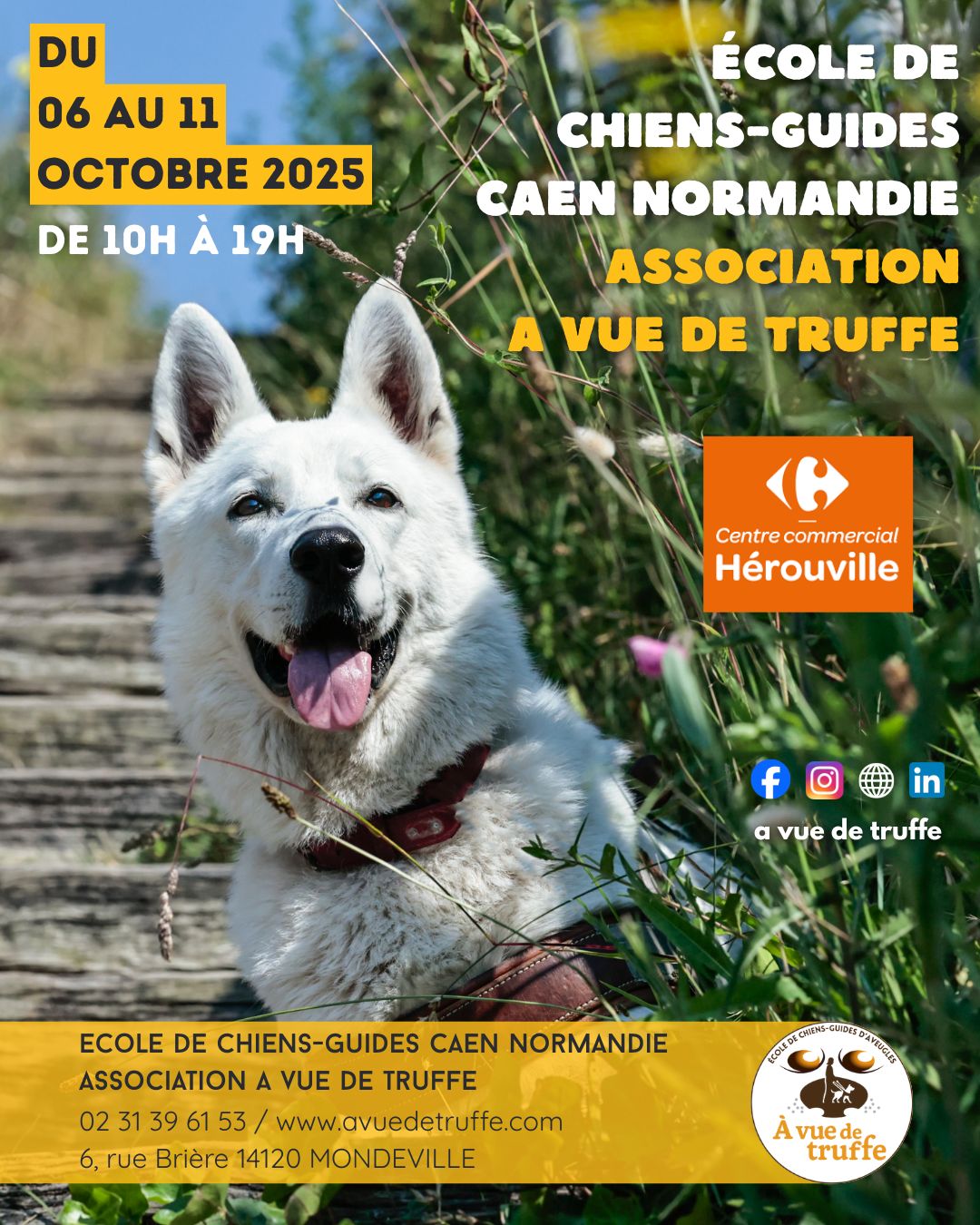 Stand d’information et de sensibilisation – Centre Commercial Carrefour Hérouville Saint-Clair