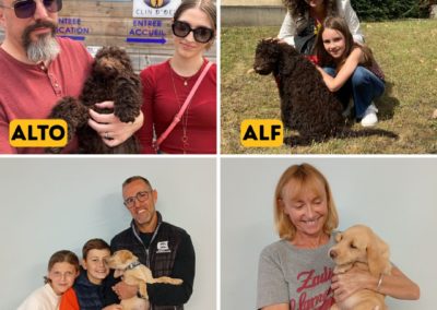 Les nouveaux chiots de l’école