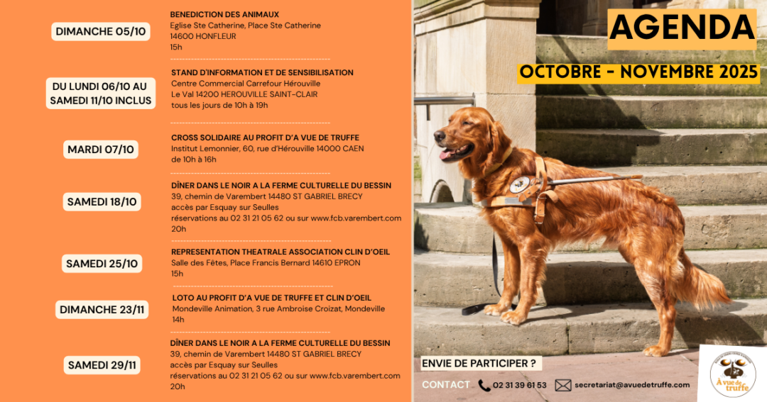Agenda des prochaines actions