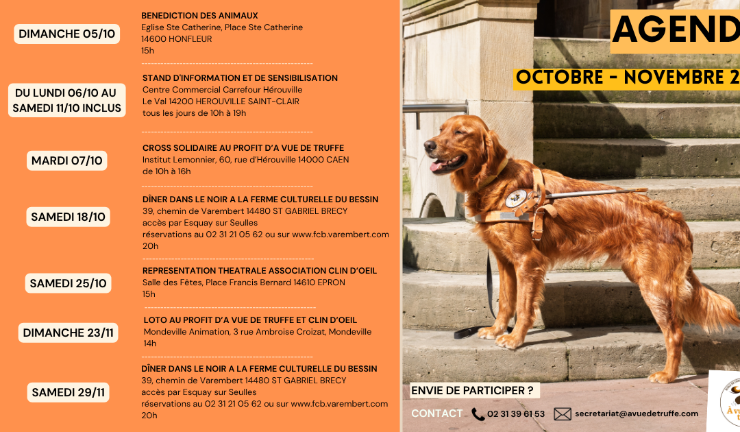 Agenda des prochaines actions