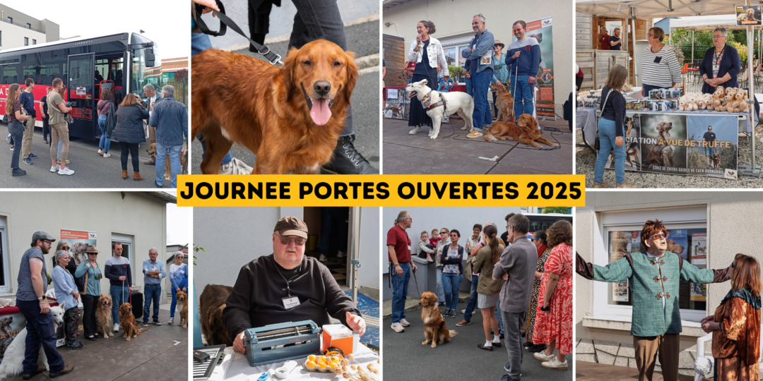 Retour sur la Journée Portes Ouvertes 2025