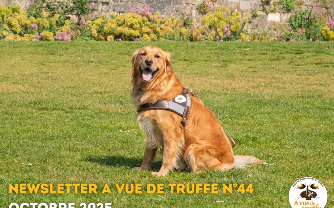 Newsletter n°44 – Octobre 2025