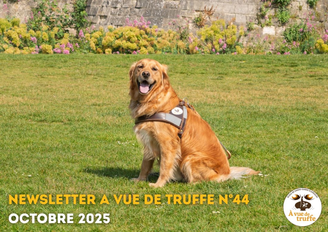 Newsletter n°44 – Octobre 2025