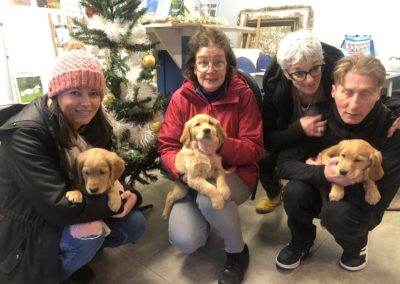 Bienvenue aux nouveaux chiots !