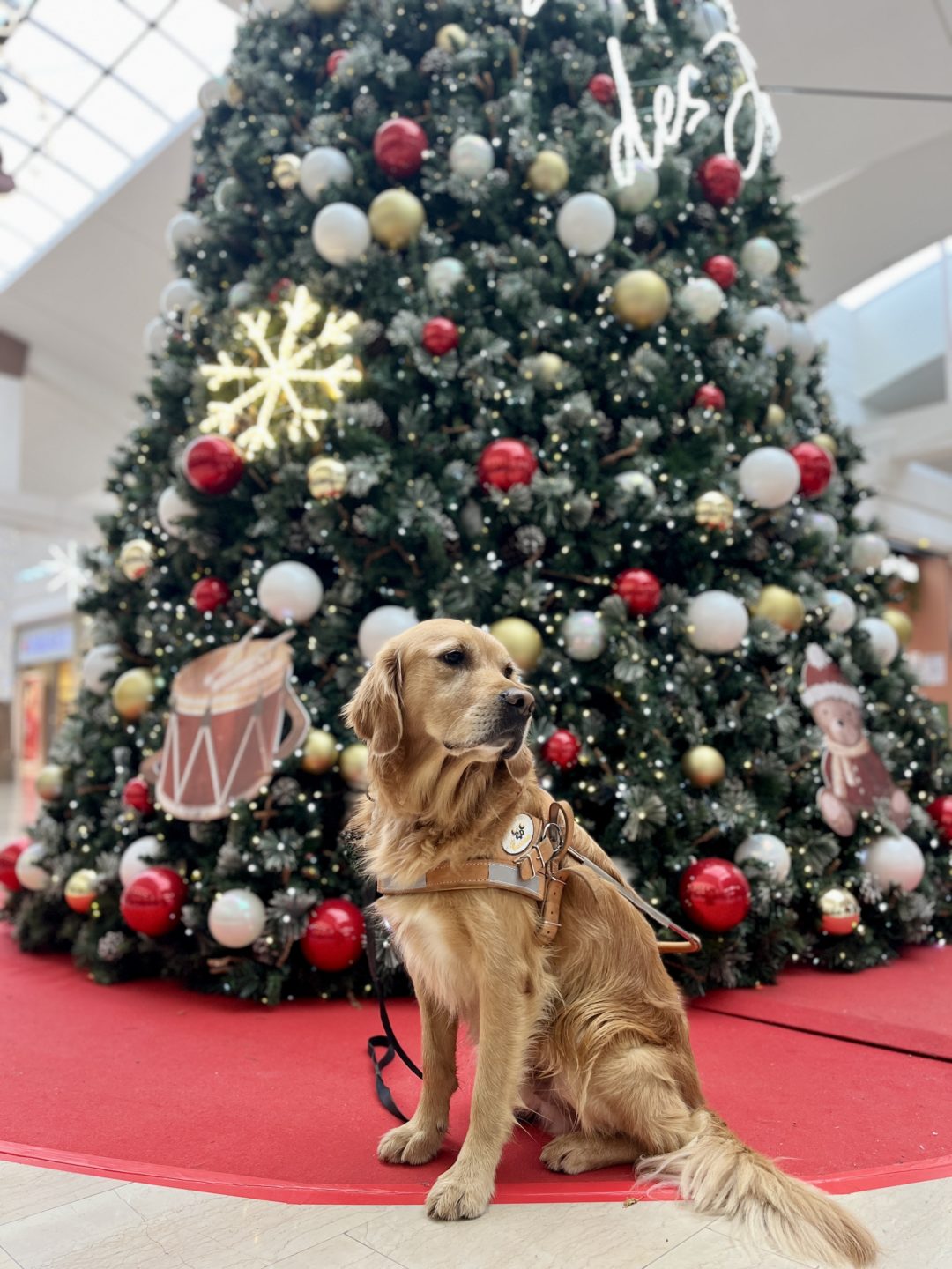 Agenda des manifestations – décembre 2025
