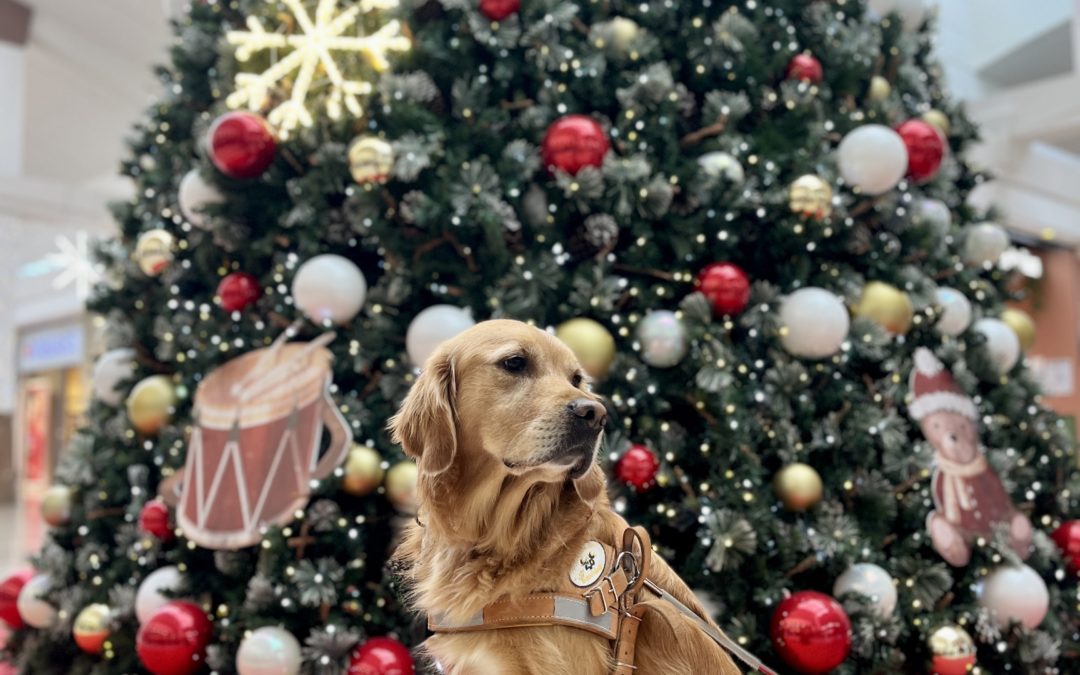 Agenda des manifestations – décembre 2025