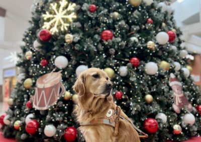 Agenda des manifestations – décembre 2025