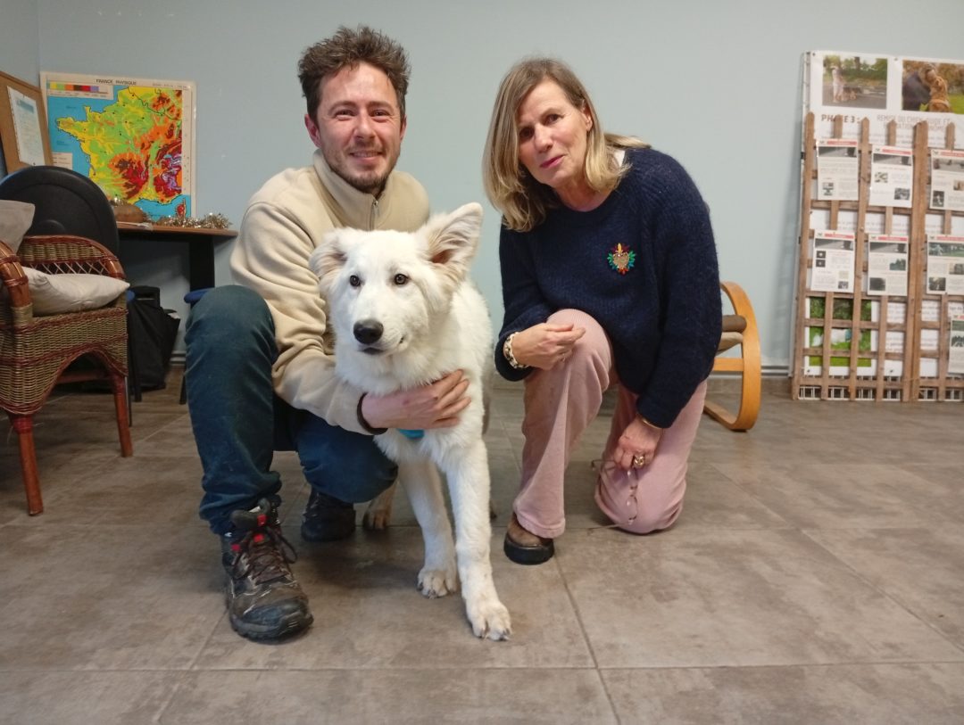 Bienvenue à Araï !