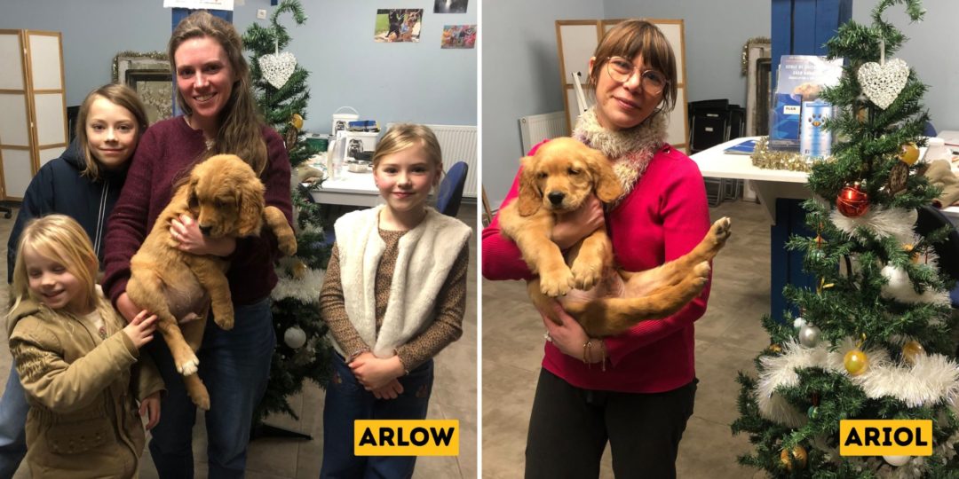 Bienvenue à Arlow et Ariol !