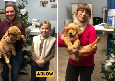 Bienvenue à Arlow et Ariol !