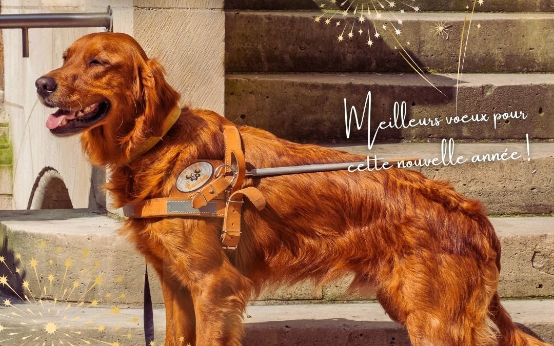 Meilleurs vœux pour 2026 !