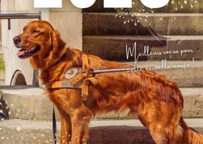 Meilleurs vœux pour 2026 !