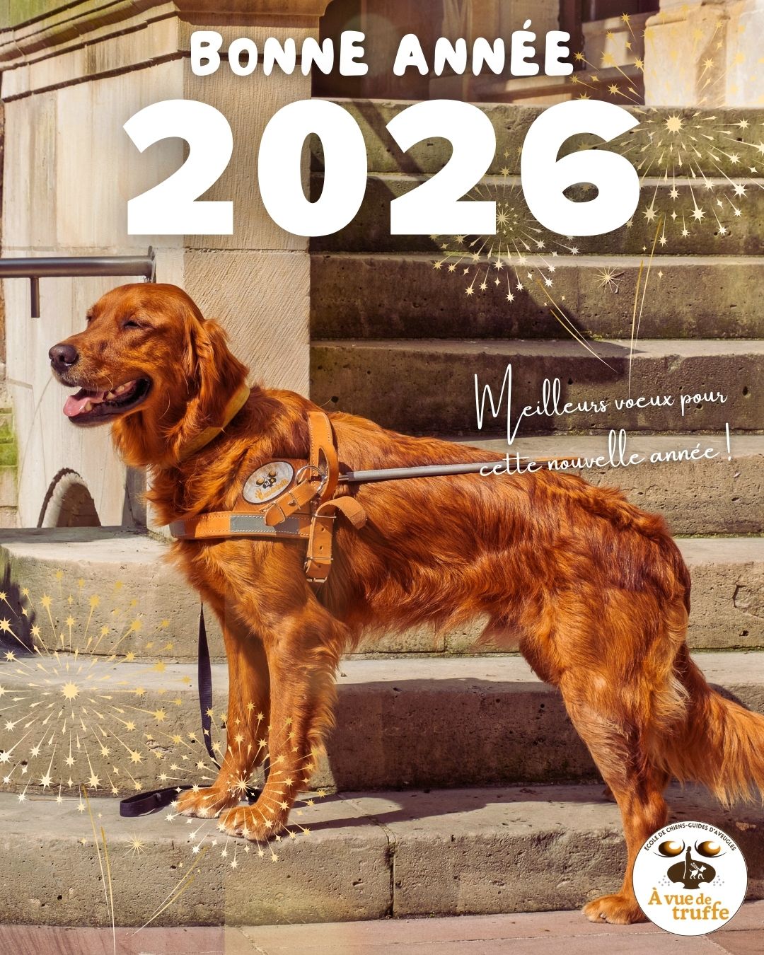 Meilleurs vœux pour 2026 !