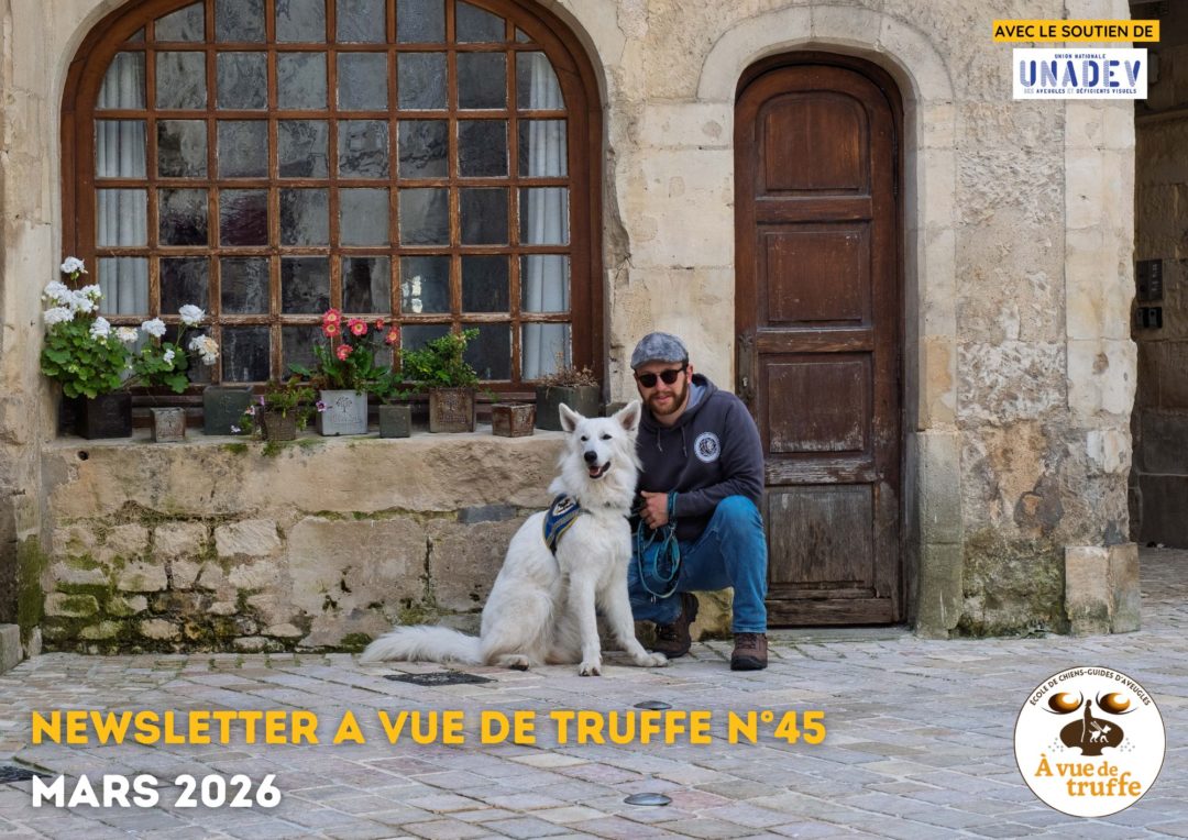 Newsletter n°45 - Mars 2026 - A vue de truffe