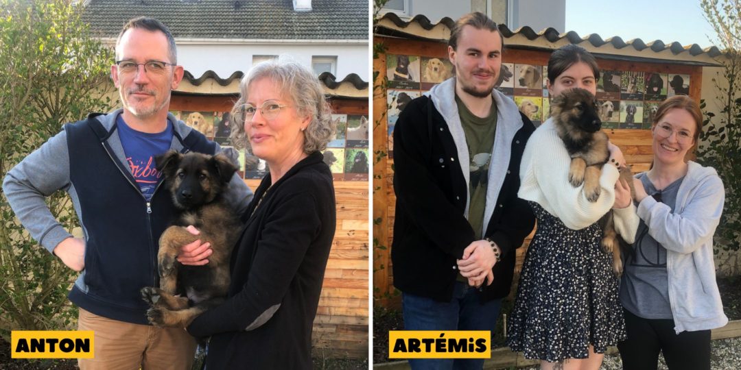 Bienvenue à Anton et Artémis !