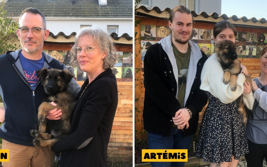 Bienvenue à Anton et Artémis !