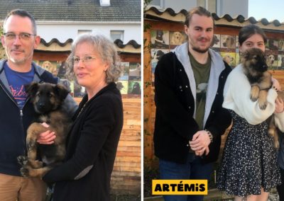 Bienvenue à Anton et Artémis !