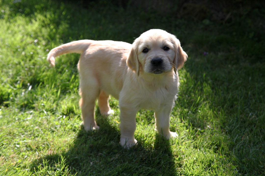 Recherche de familles d&rsquo;accompagnement