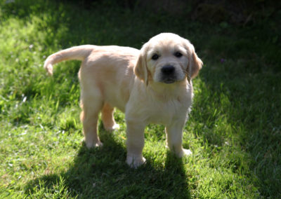 Recherche de familles d&rsquo;accompagnement