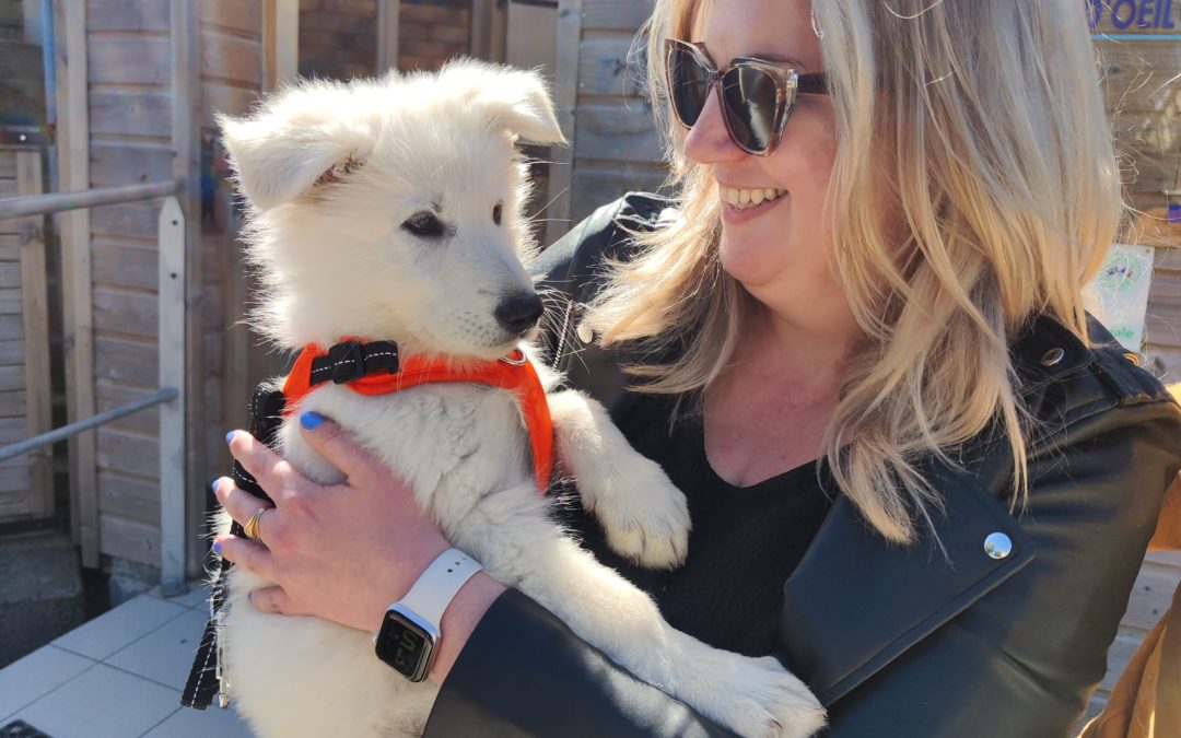 Bienvenue à Balie !