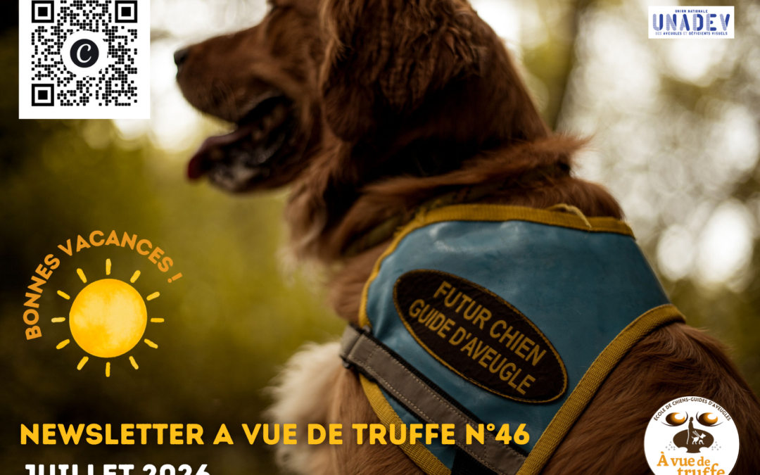 Newsletter A Vue de Truffe n°46 – Juillet 2026
