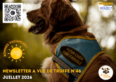 Newsletter A Vue de Truffe n°46 – Juillet 2026