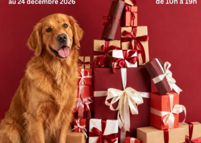 Action Emballage Cadeaux – du 20 novembre au 24 décembre 2026
